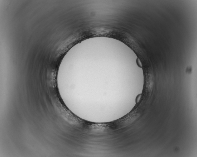 X0000115350378200911241158