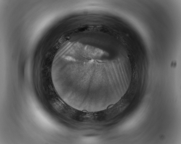 X0000115350383200911241159