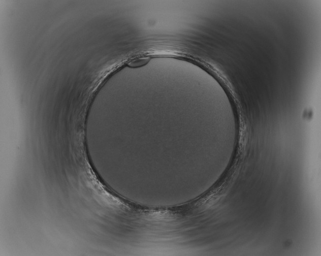 X0000115350385200911241158