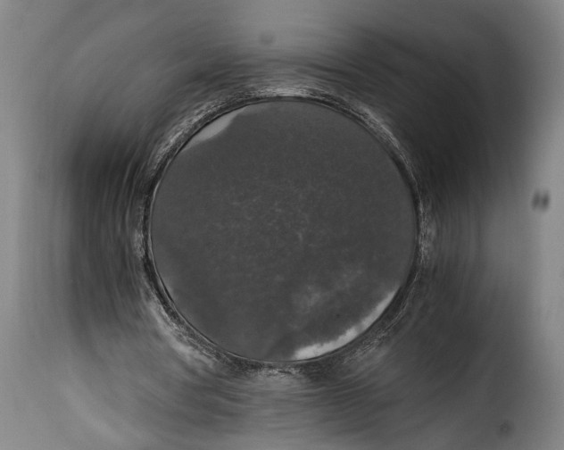 X0000115350386200911241158