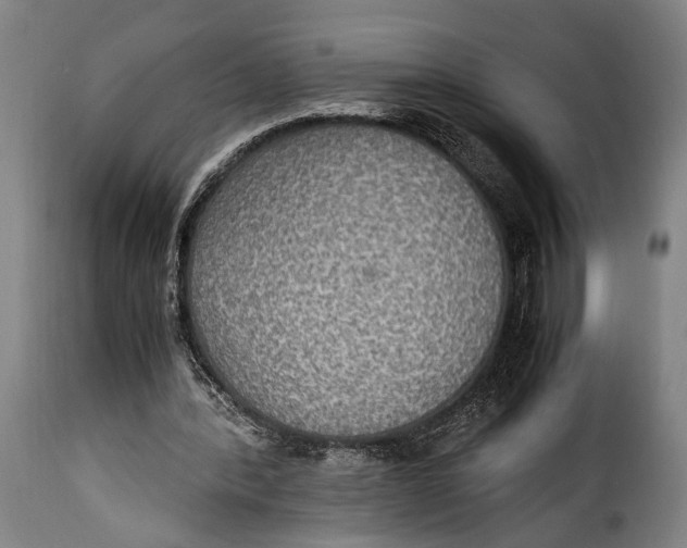 X0000115350388200911241158