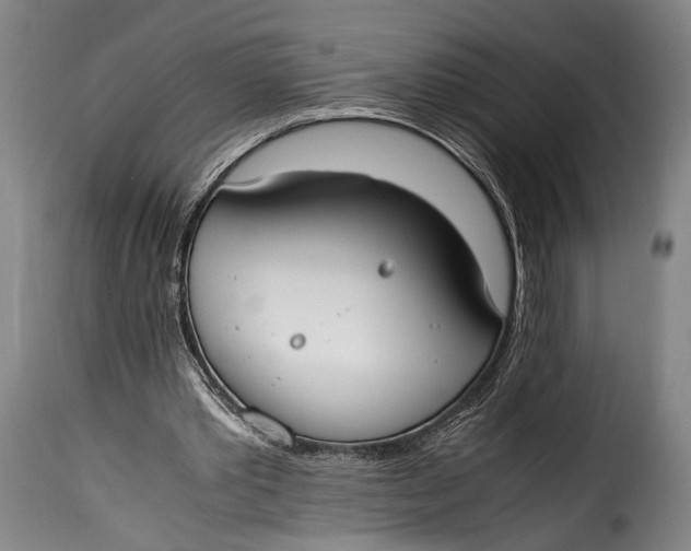 X0000115350389200911241158