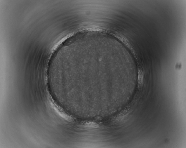 X0000115350390200911241158