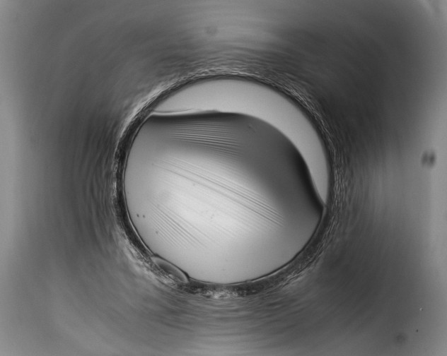 X0000115350395200911241158