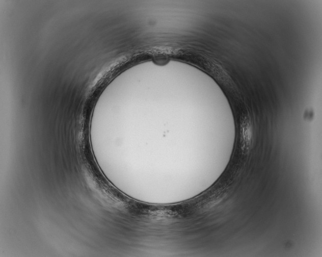 X0000115350396200911241158