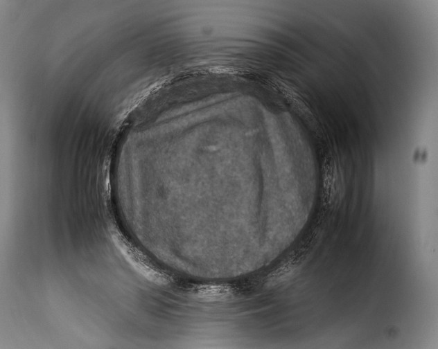 X0000115350398200911241158