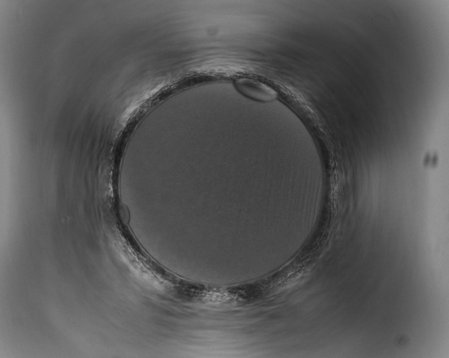 X0000115350399200911241158