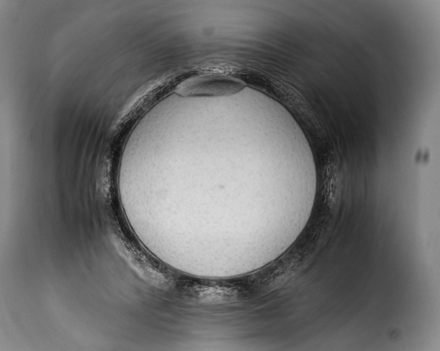 X0000115350400200911241158