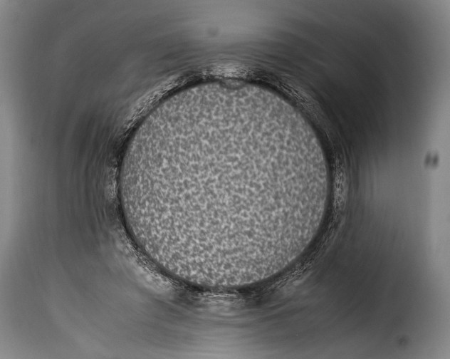 X0000115350401200911241158