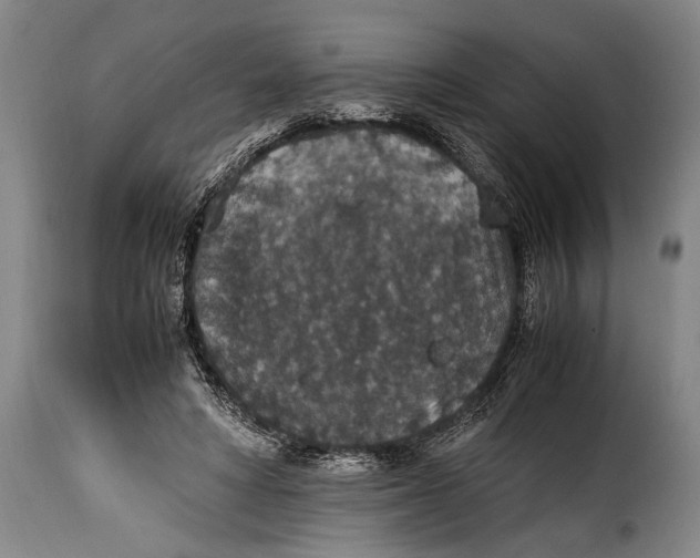X0000115350402200911241158