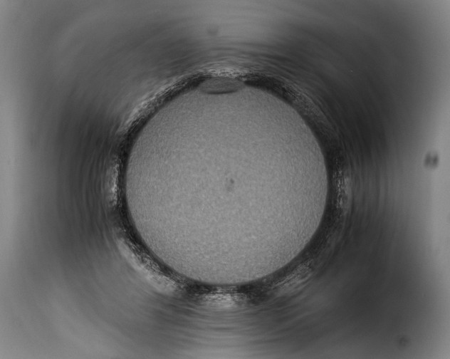 X0000115350404200911241158