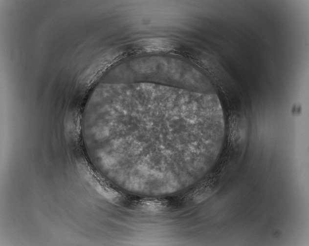 X0000115350405200911241158