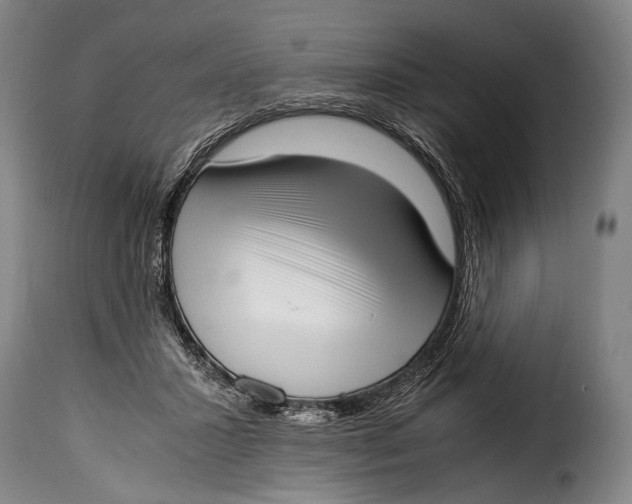 X0000115350407200911241158