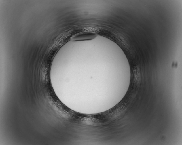 X0000115350408200911241158