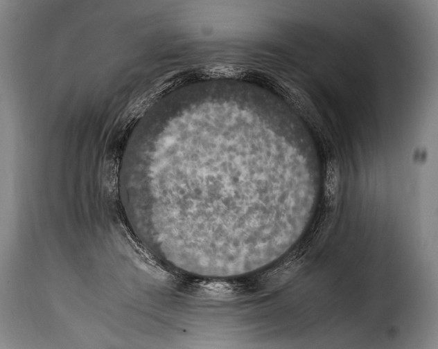 X0000115350409200911241158