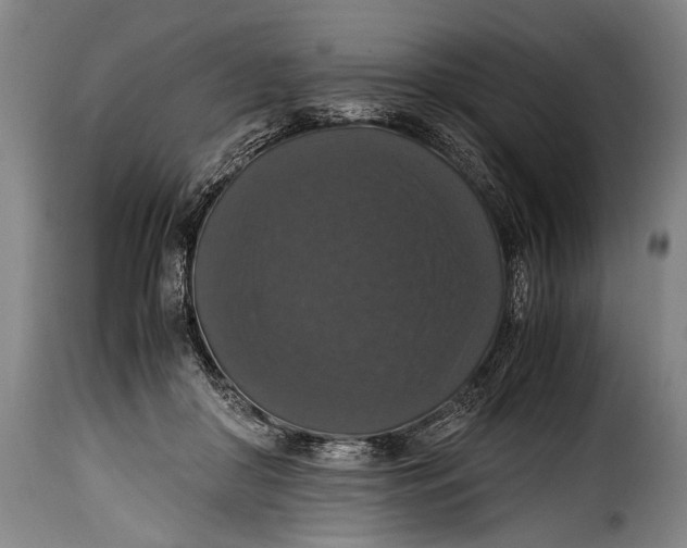 X0000115350410200911241158