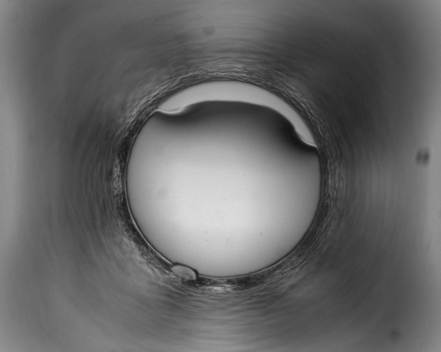 X0000115350411200911241158