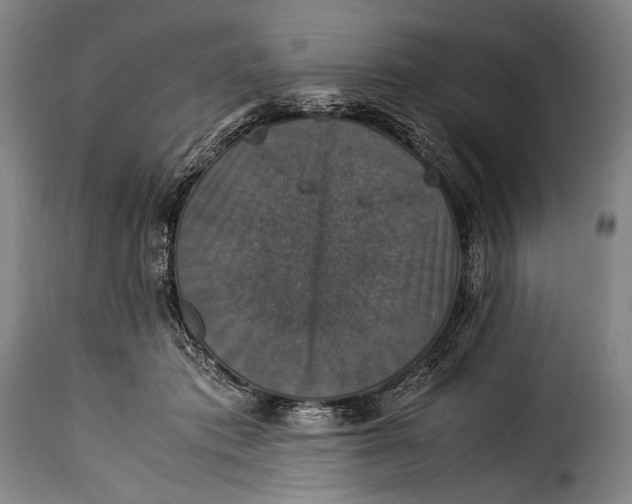 X0000115350413200911241158