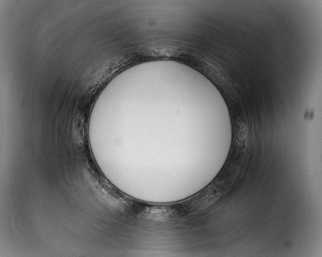 X0000115350414200911241158