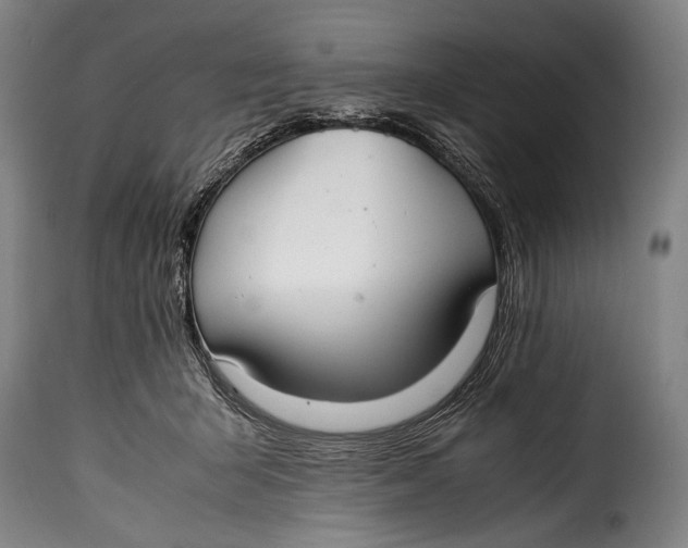 X0000115350415200911241157