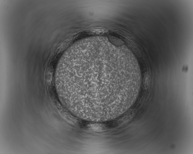 X0000115350417200911241157