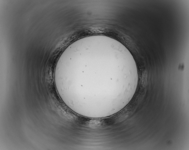 X0000115350418200911241157