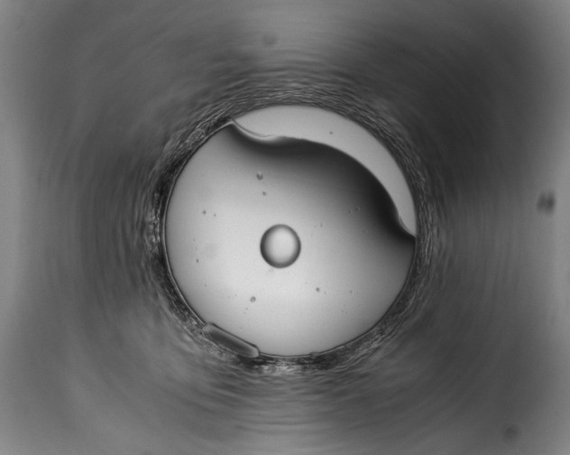 X0000115350419200911241157