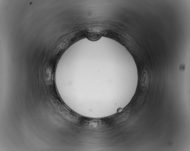 X0000115350420200911241157