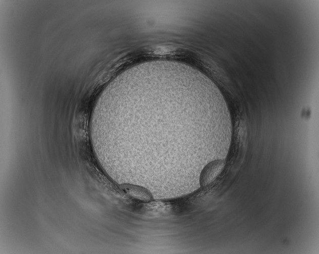 X0000115350421200911241157