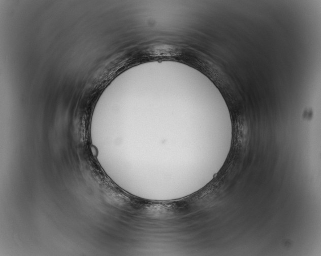 X0000115350422200911241157