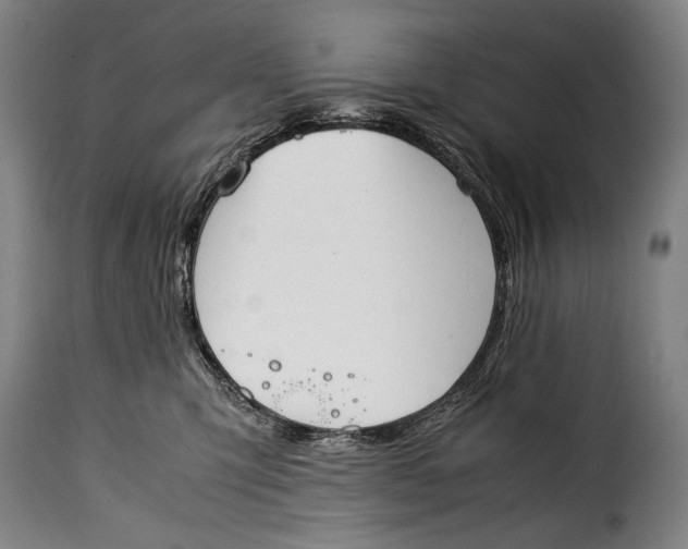 X0000115350423200911241157
