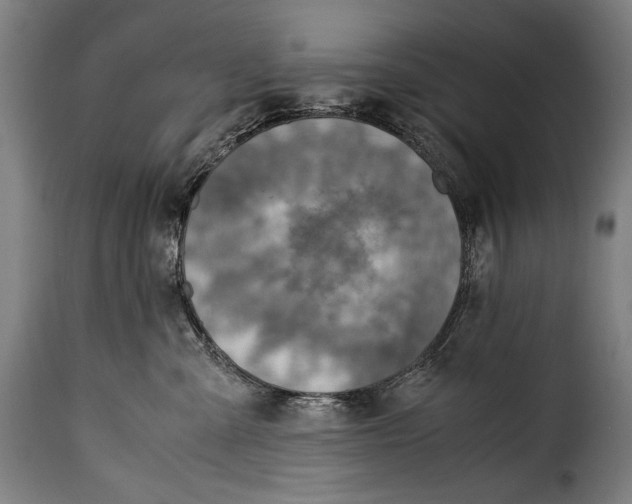 X0000115350427200911241157