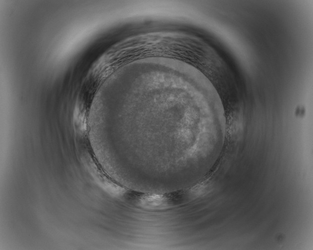 X0000115350431200911241157
