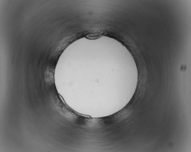 X0000115350432200911241157