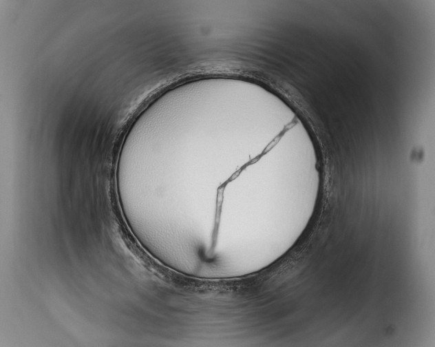 X0000115350434200911241156