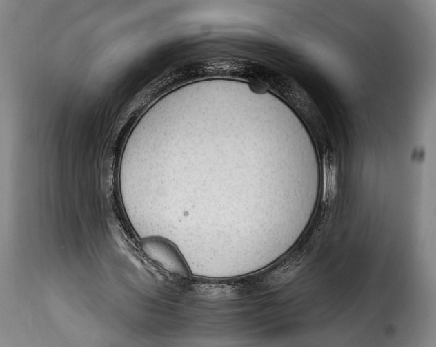X0000115350435200911241156