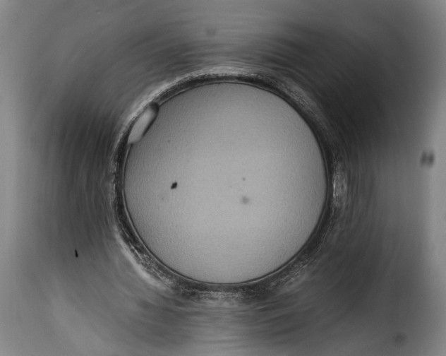 X0000115350436200911241156