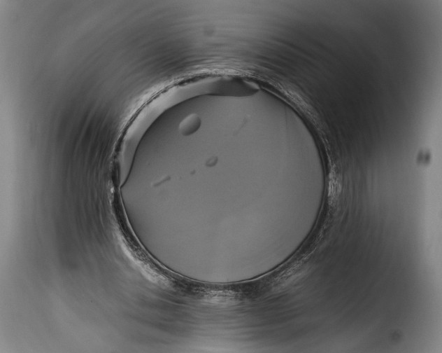 X0000115350438200911241157