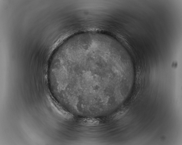 X0000115350443200911241157