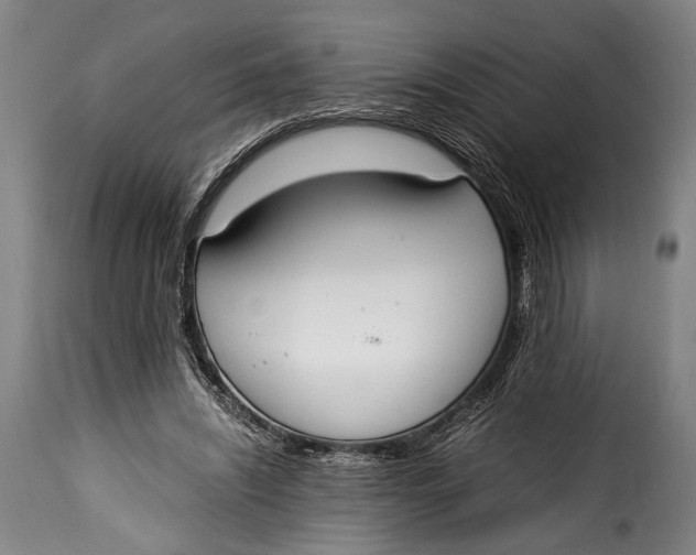 X0000115350444200911241157