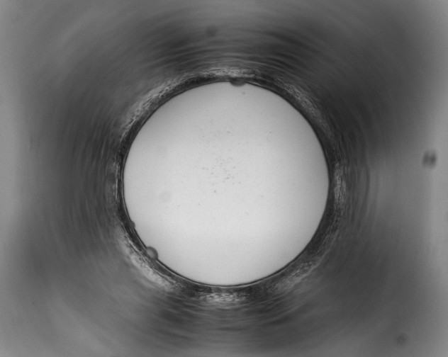 X0000115350445200911241157