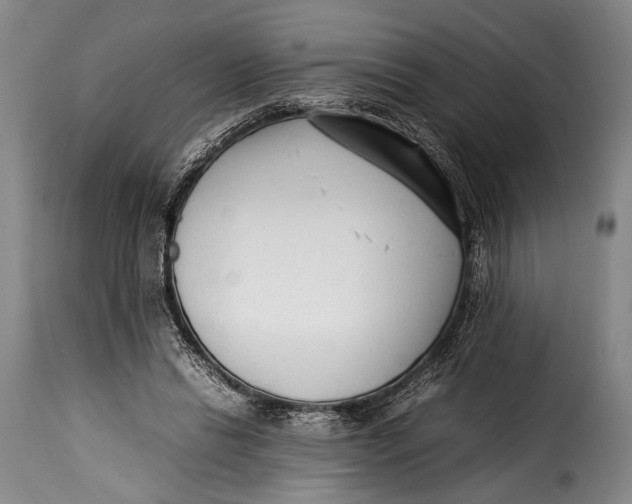 X0000115350446200911241157