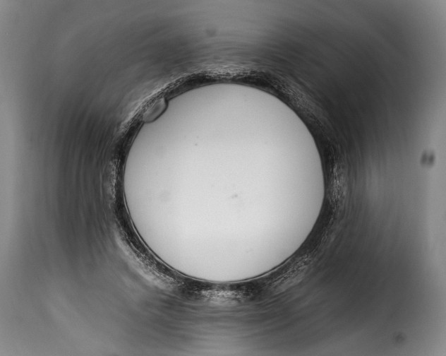 X0000115350448200911241157