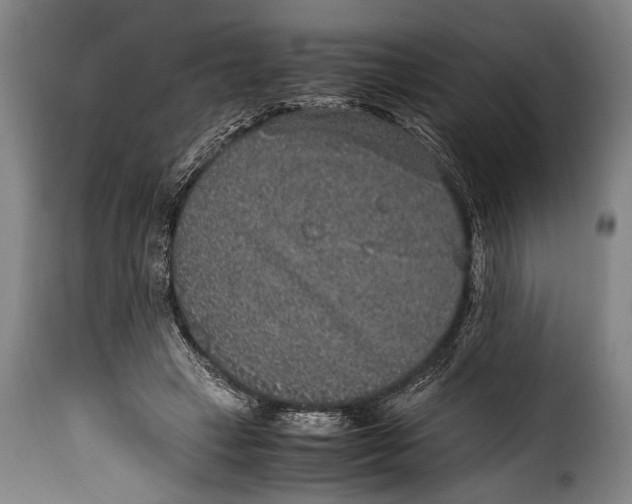 X0000115350449200911241157