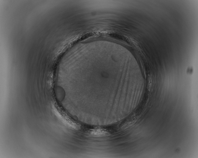 X0000115350451200911241157