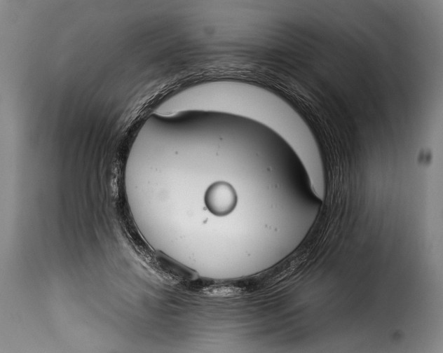 X0000115350452200911241157