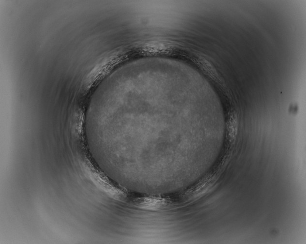 X0000115350458200911241157