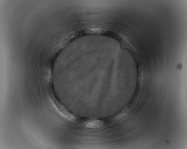 X0000115350459200911241157
