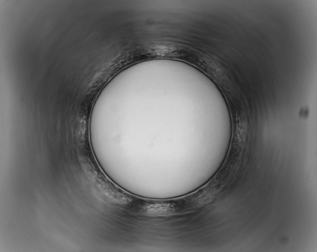 X0000115350461200911241157