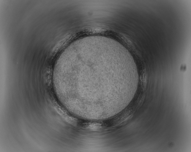 X0000115350462200911241157
